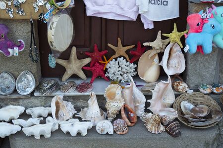 COMBARRO, SPAIN - SEPTEMBER 28, 2019: Detail of a gift shop of a coastal town. Collection of large shells of tropical mollusks and starfish.のeditorial素材