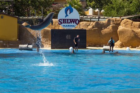 Benalmadena, SPAIN - JUNE 19, 2019: Dolphin show in an aquarium. A dolphin jumping out of the waterのeditorial素材