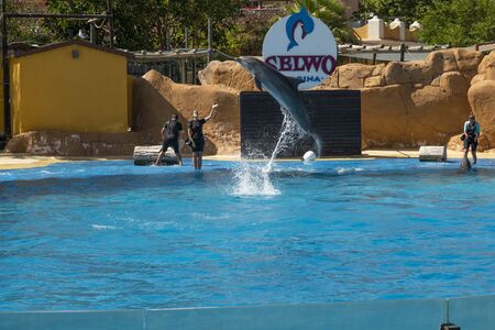 Benalmadena, SPAIN - JUNE 19, 2019: Dolphin show in an aquarium. A dolphin jumping out of the waterのeditorial素材