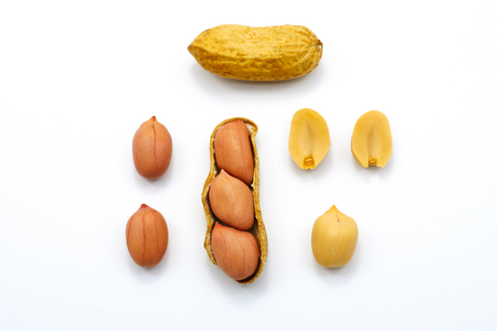 Set of peanuts isolated on white background close upの写真素材