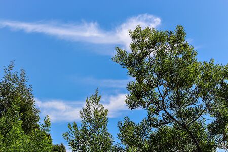 beautiful landscape with the blue skyの写真素材