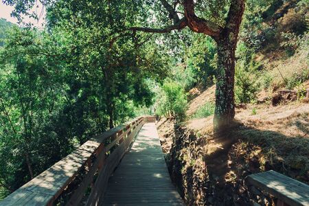 Paiva Walkways are located on the left bank of the Paiva River, in Arouca, Portugalの写真素材