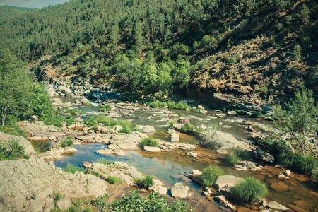 Paiva Walkways are located on the left bank of the Paiva River, in Arouca, Portugalの写真素材