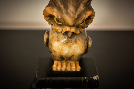 wise owl figurine,  concept of wisdom, statueの写真素材