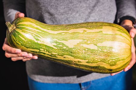 a zucchini brazilian girl, vegetarian foodの写真素材