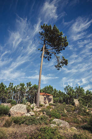 A beautiful house made of stone, Sintra, Portugalの写真素材