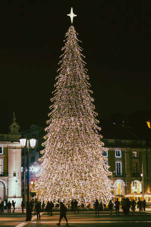 Christmas tree on Commerce square at night in Lisbon, Portugalの写真素材