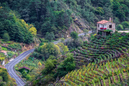 Small house on the vineyards of the Ribeira Sacra, in Chantada, Lugo, Galiciaの写真素材