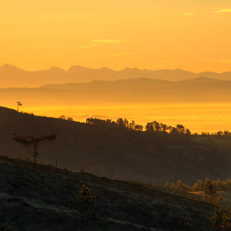 sea of golden mist over the flat lands of Vilalba, Lugo, Galiciaの写真素材