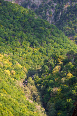 The atlantic forest of Fragas do Eume