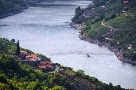 Catamaran tourist on his tour of the Sil River in the Ribeira Sacra, Galicia