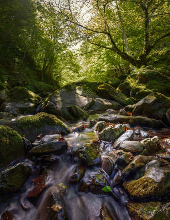 mountain stream through forests in Ancares, Galicia