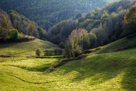 meadows for cattle farms, among the forests of Triacastela, in Courel, Galiciaの写真素材