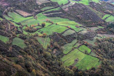 Pasture lands alternate with wild vegetation in the Galician countryside
