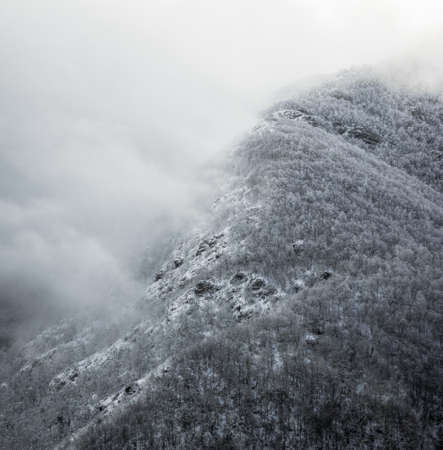 Fog and snow on a mountain covered with oaks, in the Oribio range, Triacastela, Galicia Galiciaの写真素材