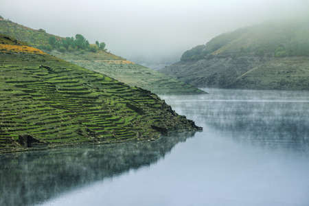 Shreds of mist at sunrise over the Minho river, in the Ribeira Sacra de Chantada, Galiciaの写真素材