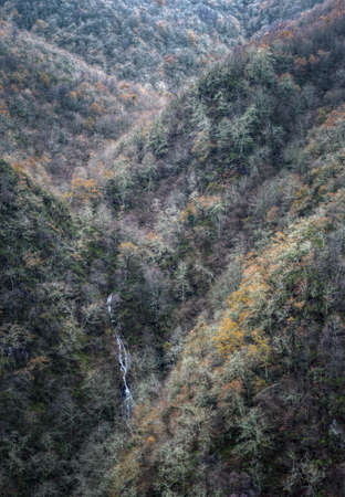 Slopes and valleys covered with winter forest in Fonsagrada, Galicia