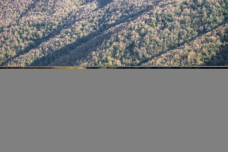 Slopes of old mountains covered by acres of old deciduous forests, in Ancares mountain range,...