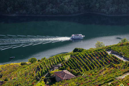 The tourist catamaran that sails the cannons of the River Sil, passes under the vineyards of the Ribeira Sacra, Galiciaの写真素材
