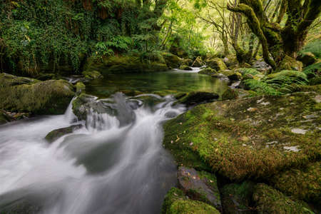 A pond overflows between mossy rocks, in a wooded valley in Galicia