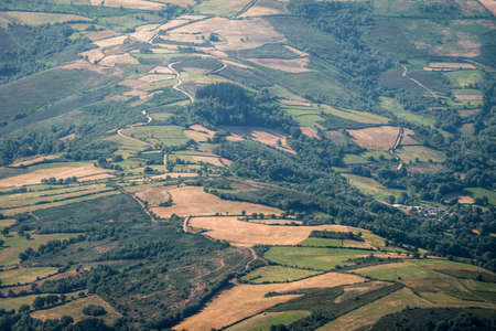 Cereal fields alternate with plots of pasture for cattle in rural Galicia