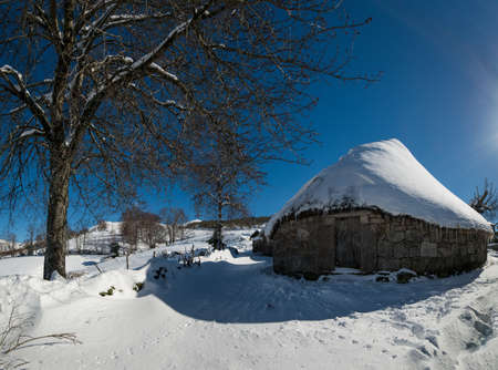 old traditional houses of Galician mountain, known as Pallozas in Piornedo, Ancares, Galicia