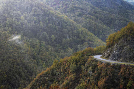A road enters between covered slopes of the Autumnal Forest, in the Courel Mountains Geopark