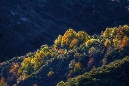 Early morning autumn light over colorfull trees, in VisuÃ±aの写真素材