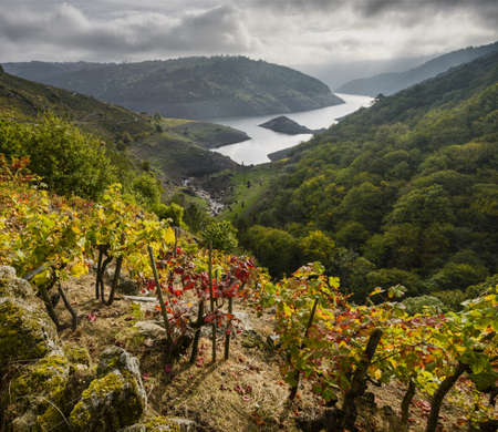 Remains of a Celtic village on an island, in Castro Candaz, Chantada, Galiciaの写真素材