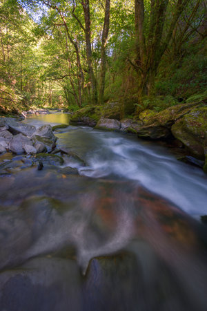 A river comes out of a dark canyon into a bright wooded valley in Courel Galiciaの写真素材