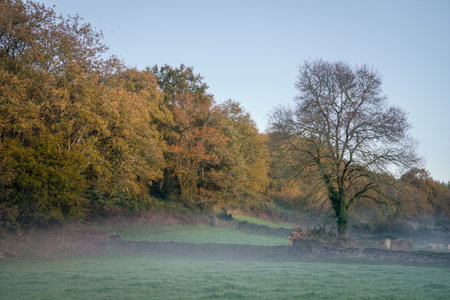 First lights of an autumnal day dissipate the mist in the fields next to deciduous forests in Galiciaの写真素材