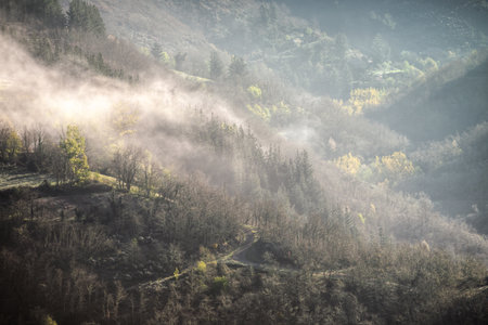 Morning mists dissolve and reveal the forested landscape of Cervantes Ancares in Galicia