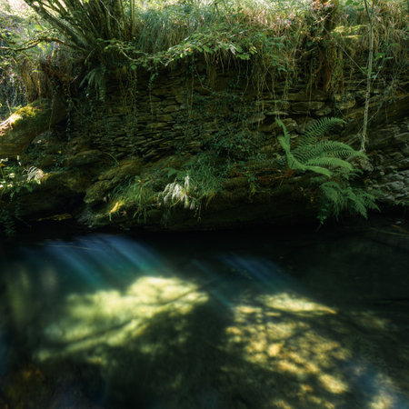 Some rays of light cross the thick canopy of the forest and illuminate a pool in the Courel Mountains Unesco Geopark in Lugo Galiciaの写真素材