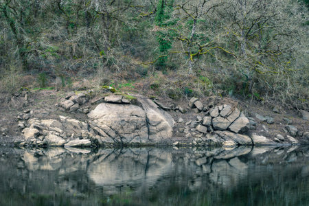 Granite rocks and bare oak trees reflected in the river in winter near Portomarin Lugo Galicia