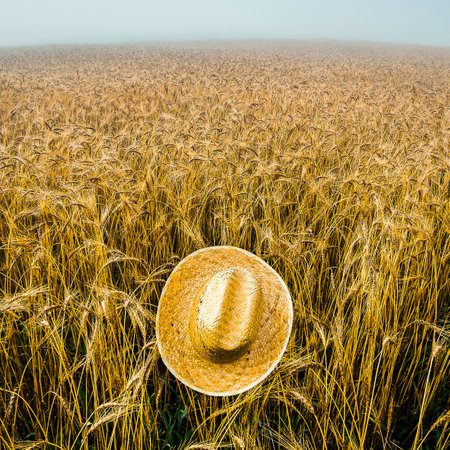 Artistic composition of a straw hat on a wheat field near Lugo Galiciaの写真素材