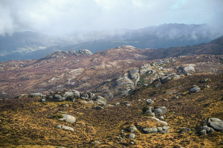Extensive fields of granite blocks on rounded hills in Xistral Abadin Lugo Galiciaの写真素材