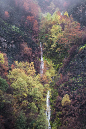 On the sides of a waterfall the landscape burned by summer forest fires is greening again in Courel Mountains Unesco Geopark in Samos Lugo Galiciaの写真素材