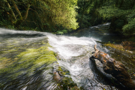 Spring light ignites the waters in a small waterfall near Triacastela, Lugo, Galicia.の写真素材