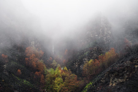 Dark tones among the mist reveal the devastation of a mountain fire near Triacastela Lugo Galiciaの写真素材