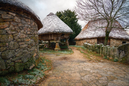 Light frost on the thatched roofs of the Piornedo pallozas in Ancares Cervantes Lugo Galiciaの写真素材