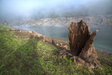 Natural sculpture formed by a mineralized tree trunk under the waters of the Minho River in Lugo Galicia.の写真素材