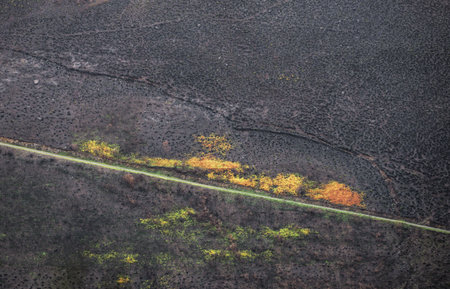 Amidst the landscape charred by forest fires lush native vegetation survives in Courel Lugo Galicia