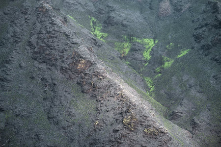 Amidst the landscape charred by forest fires lush native vegetation survives in Courel Lugo Galiciaの写真素材