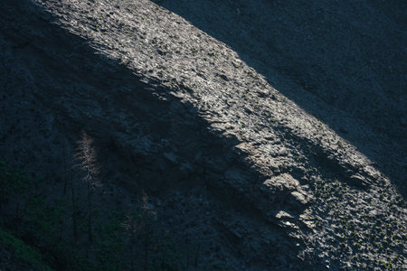 Amidst the landscape charred by forest fires lush native vegetation survives in Courel Lugo Galiciaの写真素材