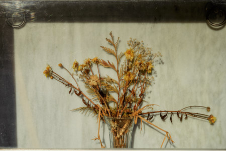 A small bouquet of dried flowers languishes behind the glass of a niche in a cemetery near Lugo...