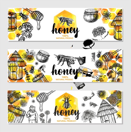 Vector hand drawn honey banners Illustration of healthy food.のイラスト素材