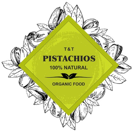 Hand drawn Vector frame with pistachios and leavesのイラスト素材