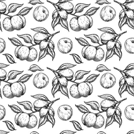 Apricot seamless pattern. Vector drawing. Hand drawn fruit, branch. Summer food engraved style illustration. Detailed vegetarian sketch. Great for label, print, packaging, backgroundのイラスト素材