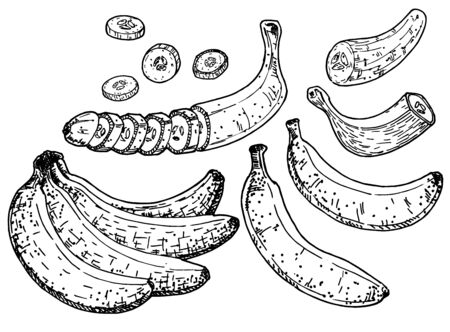 Banana set vector sketch. Isolated hand drawn peel banana, peeled banana and sliced piecesのイラスト素材