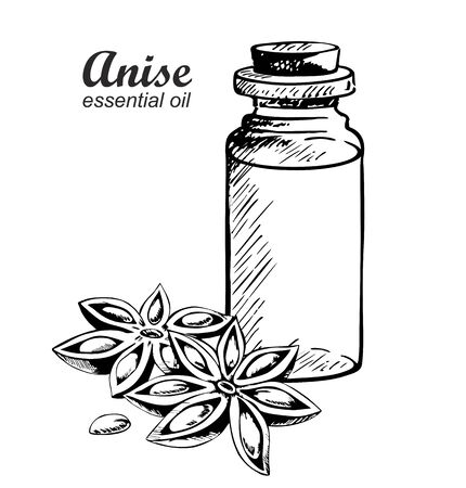 Anise star essential oil bottle. Spices. Great for label, packaging.のイラスト素材